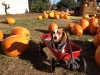kody-monster-pumpkin-patch