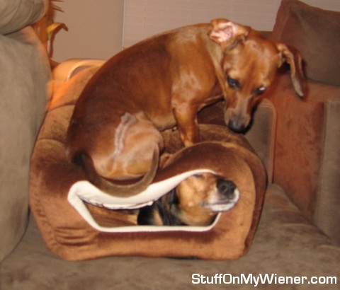 Peaches on Piper