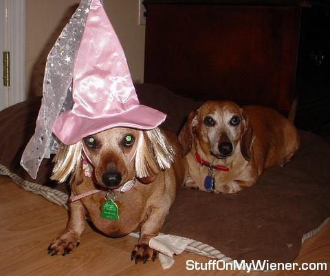Grrt as a Princess