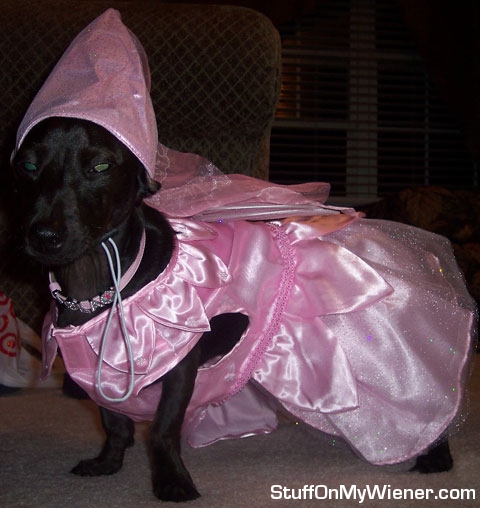 Lola as a princess.