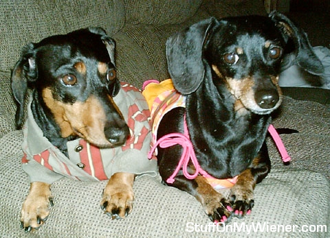 rudyandbrandy