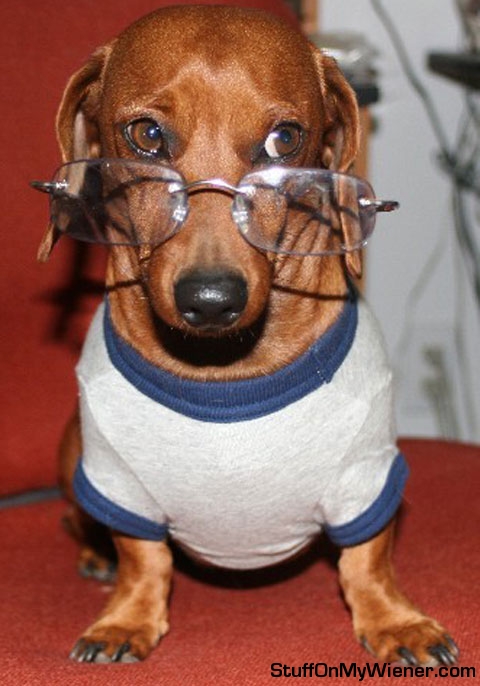 Hogan Glasses