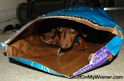 Rusty Bag