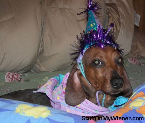 Wally Party