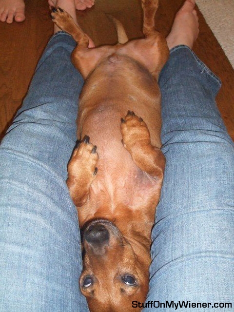 wolfgangsleeping