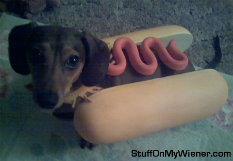 Sophie Hot Dog