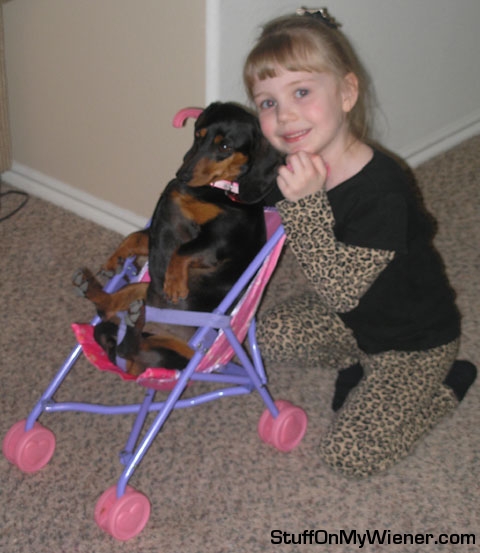 Roxie Stroller