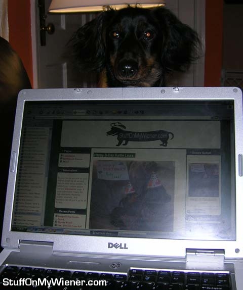 Guinness progenitor of the Infinite Wiener project.