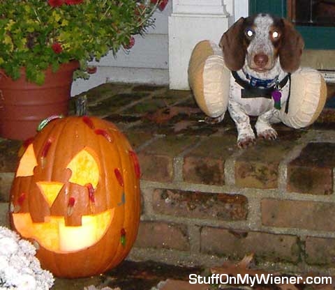 Yocco-lantern