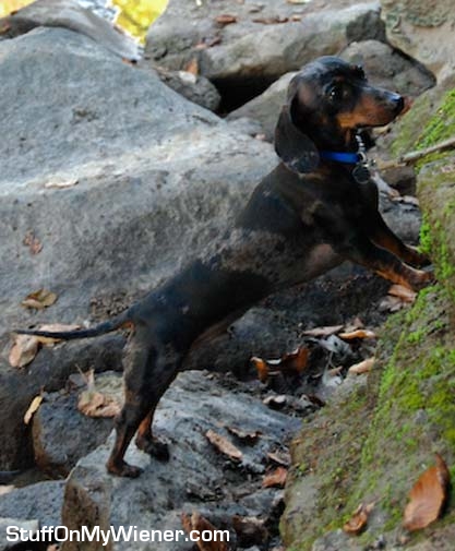 Ty rock climbing.
