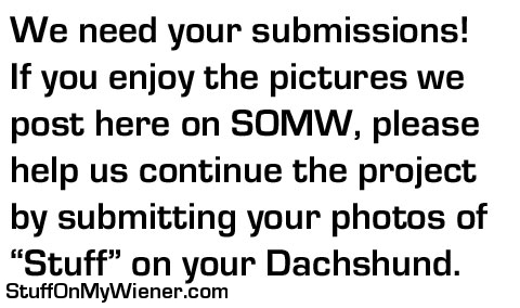 Submissions