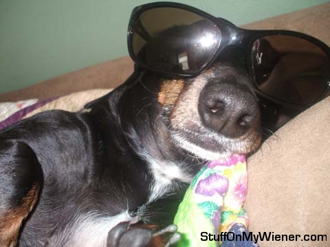 Beemer in glasses.