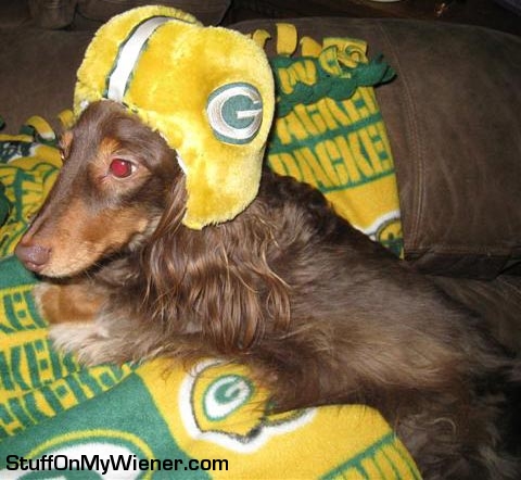 fezzik-packer Fezzik with his Packers helmet on.