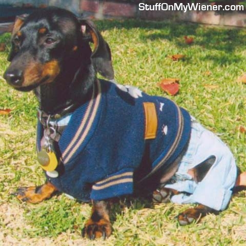 ricky-jacket Ricky in his letterman's jacket.