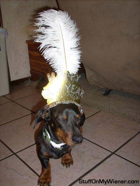 shooter-feather Shooter celebrating new year.