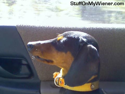 zephyr-copilot Zephyr copiloting Dog Truck.