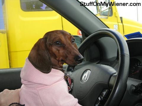 simone-drives Simone driving.