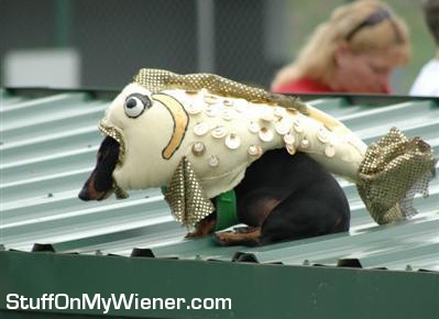 Dyllan as a fish.