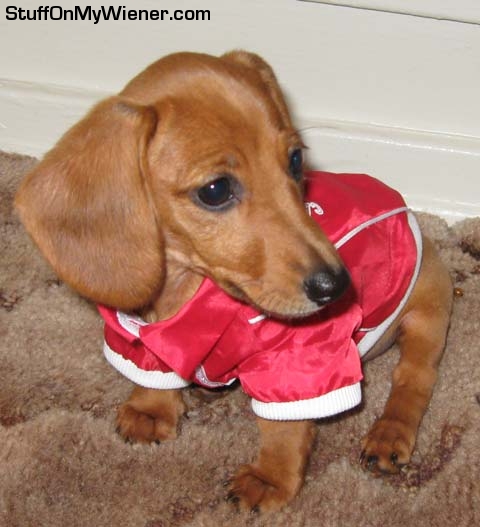 Nadja-coat Nadja in her new coat.