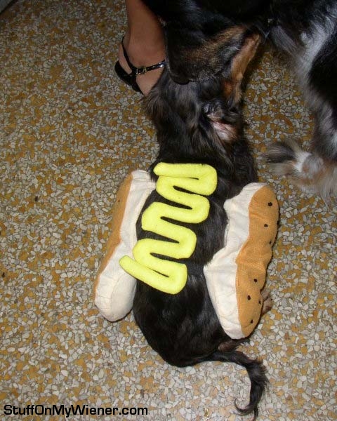 Bubbie-hot-dog Bubbie in a hot dog costume.