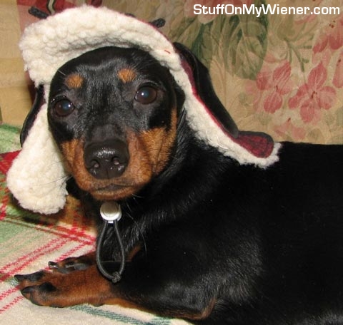 Matilda-cap Matilda in a hunting cap.