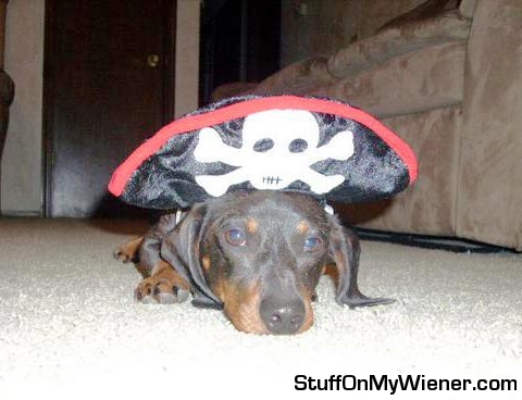 Shooter-pirate Shooter in a pirate hat.