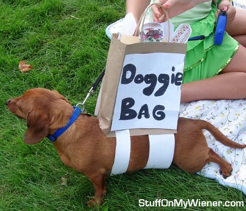 Corndog-doggie-bag Corndog in a doggie bag.