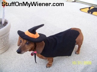 Frankie-witch Frankie as a witch.