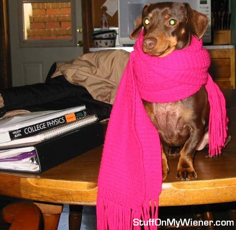 Oliver in a scarf.