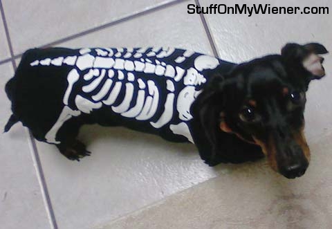 Prince-skeleton Prince in his skeleton costume.