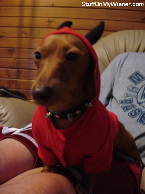 Sadie-devil Sadie, the devil in disguise.