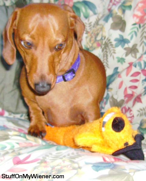 Jerry with Bobo.