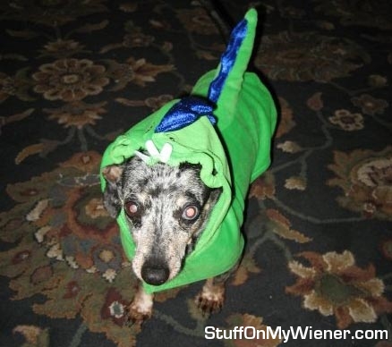Odie-Dino Odie as a dinosaur for Halloween.