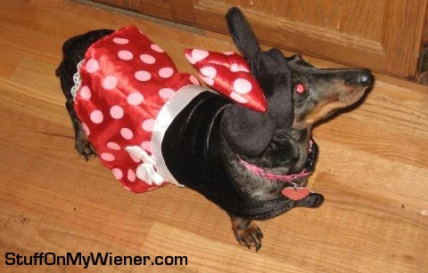 Patchy-Mini-Mouse Patches as Minnie Mouse.