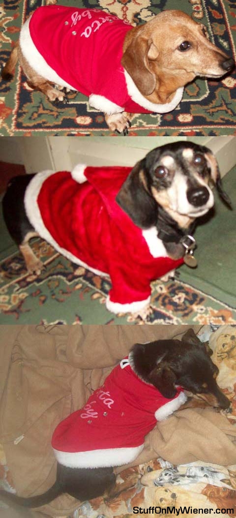 Emily-Oscar-Alice-Santa Emily, Oscar, Alice Santa's little helpers.