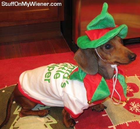 Wilbur helps Santa.