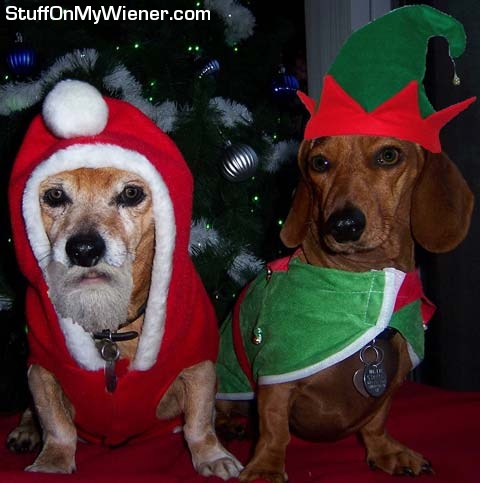 Biscuit-Mila-Christmas Biscuit & Mila costumes for Big Bay Parade.
