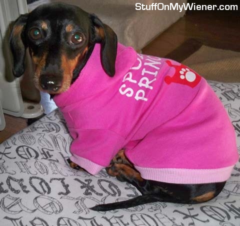 Hazelnut-princess Hazelnut in a Spoiled Princess shirt.
