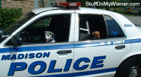 Otis-Brandee Otis driving Brandee in a police car.