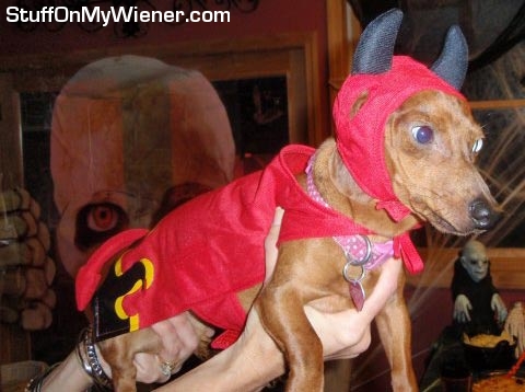 Brooklyn-devil Brooklyn in devil costume.
