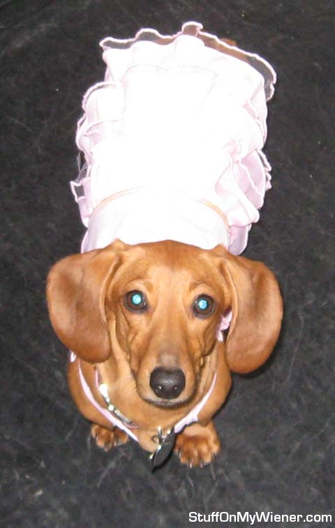 Nadja-dress Nadja in Valentine's dress.
