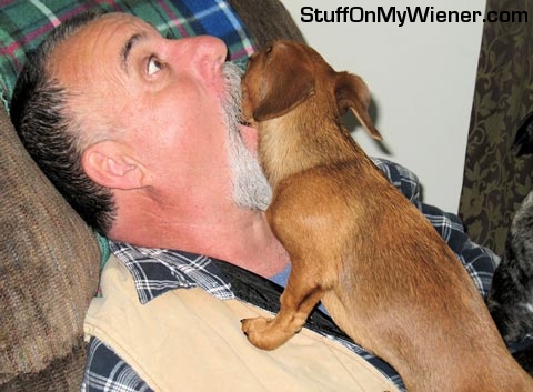 Roo-dental-hygenist Roo cleaning dad's teeth.