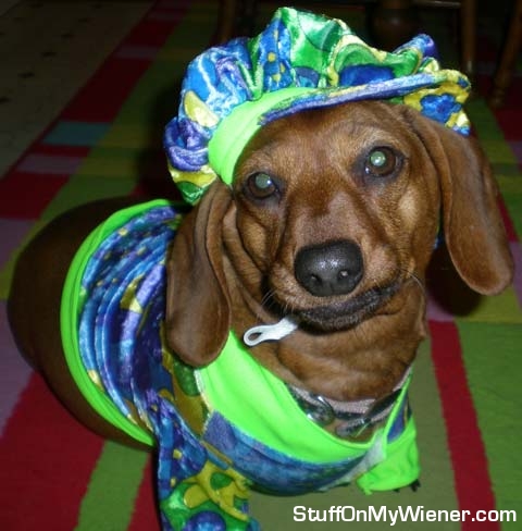 Roxy-hat Roxy in her Hippie outfit.