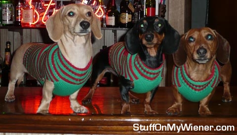 Buster-Jimmy-Copper Buster, Jimmy, and Copper on the bar.