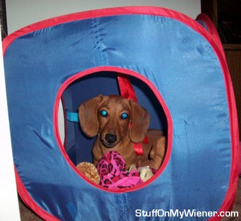 Nadja-toy-tent Nadja in her toy tent.
