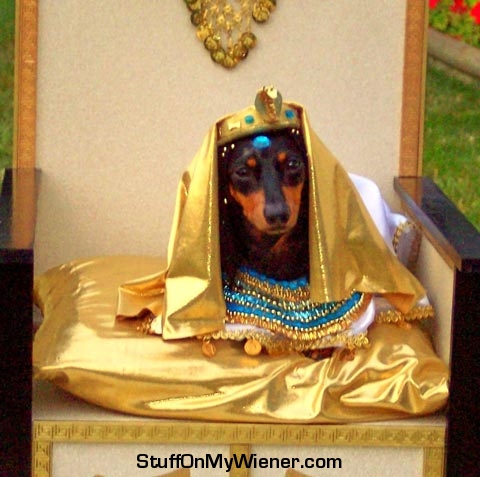 Peanut-cleopuptra Peanut as Cleopatra.