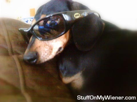 Lexi in Batman shades.