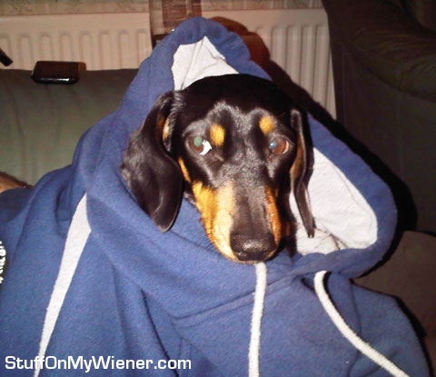 Phoebe in a hoodie.