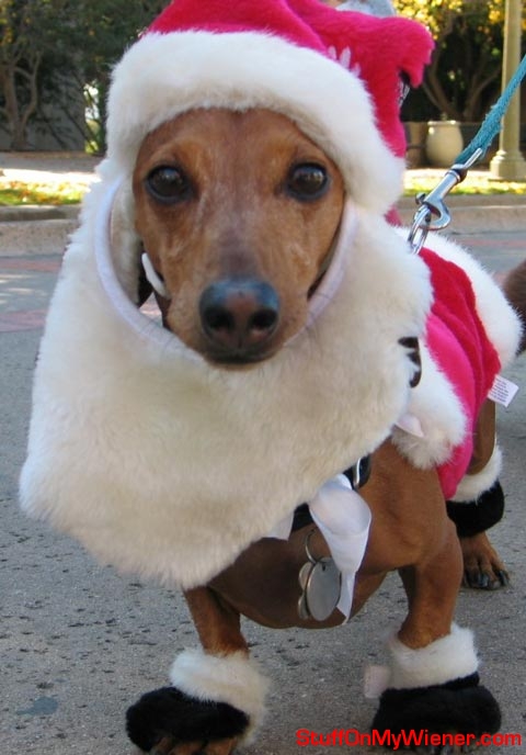 Ruckus-Santa Ruckus as Santa.
