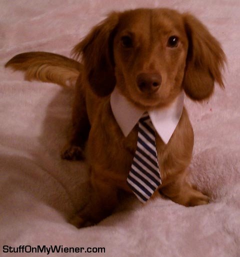 Kirby in his Sunday best.